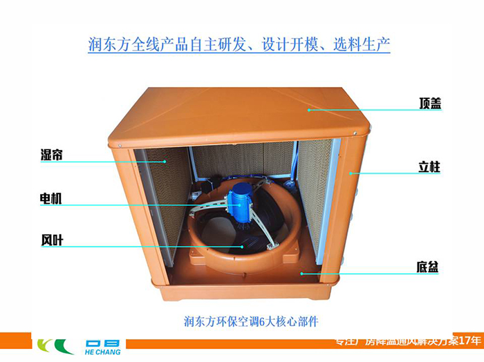 国产麻豆免费在线观看图片